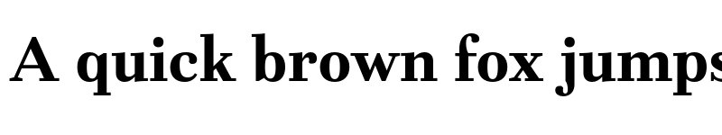 Preview of FONTSPRING DEMO - Fiorina Text Bold font