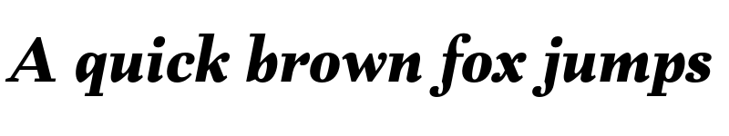 Preview of FONTSPRING DEMO - Fiorina Text ExtBd Italic font