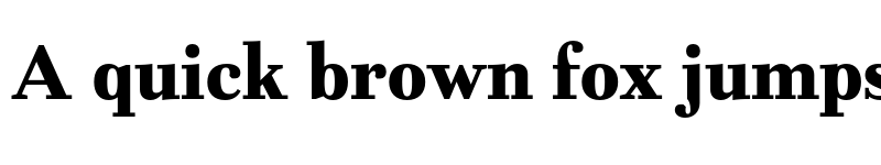 Preview of FONTSPRING DEMO - Fiorina Text ExtBd Regular font