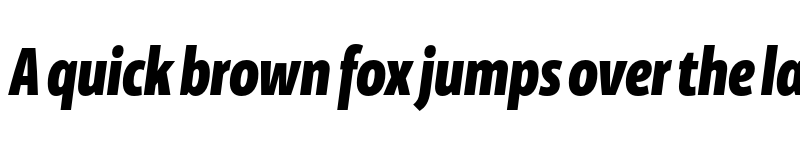 Preview of FONTSPRING DEMO - Floki Bold Italic Regular font