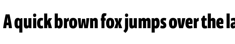 Preview of FONTSPRING DEMO - Floki Bold Regular font