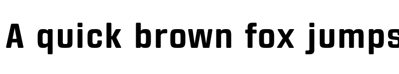 Preview of FONTSPRING DEMO - From the Internet Rg Bold font