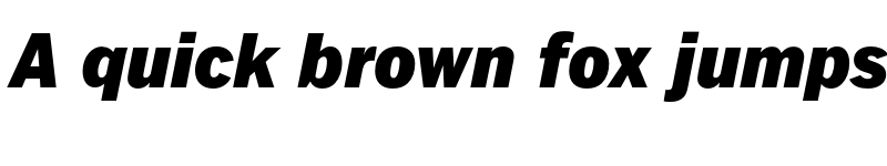 Preview of FONTSPRING DEMO - FullerSansDT Black Bold Italic font