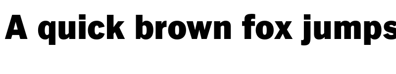 Preview of FONTSPRING DEMO - FullerSansDT Black Bold font