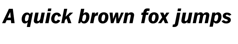 Preview of FONTSPRING DEMO - FullerSansDT ExtraBold Bold Italic font