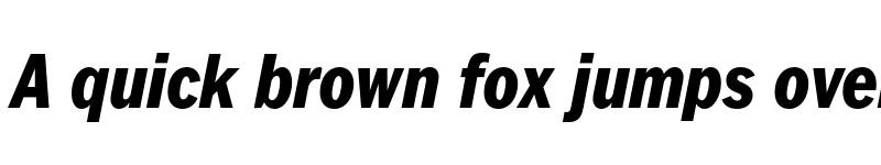 Preview of FONTSPRING DEMO - FullerSansDTCond ExtraBold Extra Bold Italic font