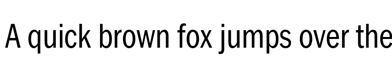 Preview of FONTSPRING DEMO - FullerSansDTCond Regular font