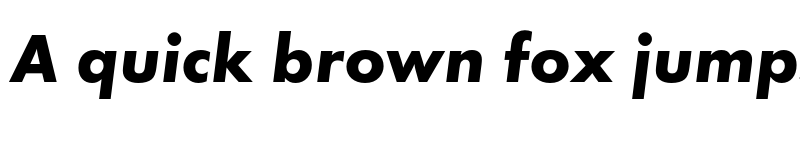 Preview of FONTSPRING DEMO - Function Pro Bold Italic font