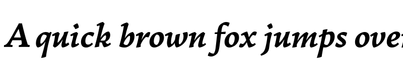 Preview of FONTSPRING DEMO - Garibaldi Bold Italic font