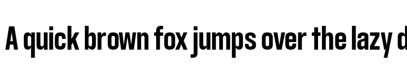 Preview of FONTSPRING DEMO - GGX89 Condensed Rg Bold font