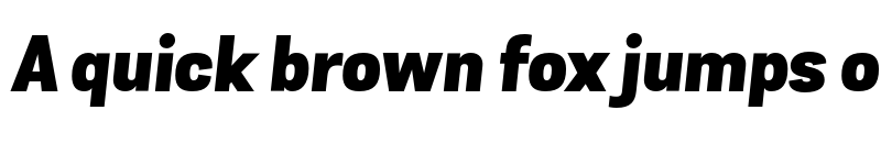 Preview of FONTSPRING DEMO - Grota Sans Alt Black Black Italic font