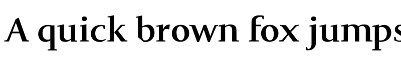 Preview of FONTSPRING DEMO - Halvan Bold font