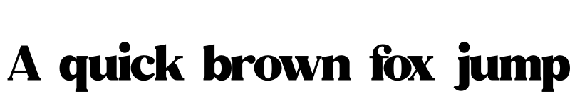 Preview of FONTSPRING DEMO - Hefton Bold font