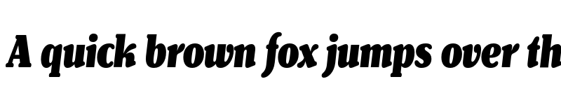 Preview of FONTSPRING DEMO - Henriette Compressed Black Italic font