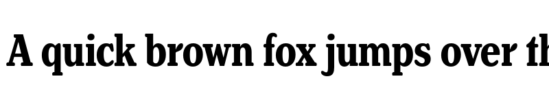 Preview of FONTSPRING DEMO - Henriette Compressed Bold font