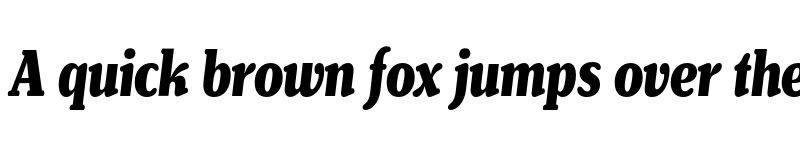 Preview of FONTSPRING DEMO - Henriette Compressed Heavy Italic font