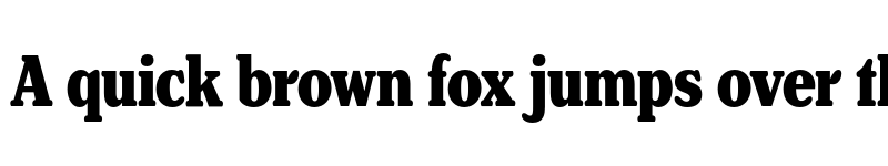 Preview of FONTSPRING DEMO - Henriette Compressed Heavy Regular font