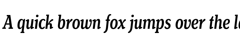 Preview of FONTSPRING DEMO - Henriette Compressed Medium Italic font