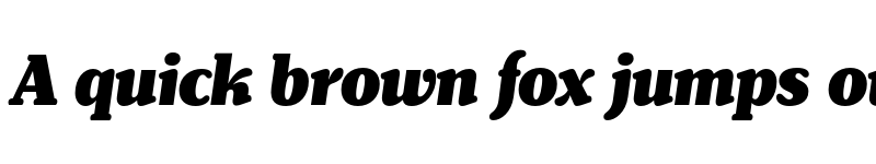 Preview of FONTSPRING DEMO - Henriette Condensed Black Italic font