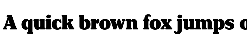 Preview of FONTSPRING DEMO - Henriette Condensed Black Regular font