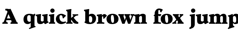 Preview of FONTSPRING DEMO - Hoboken Serial Xbold Regular font