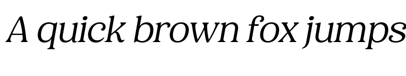 Preview of FONTSPRING DEMO - Holimole Ita Italic font