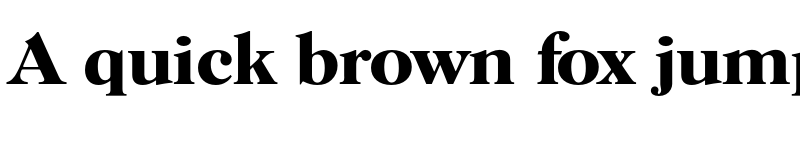 Preview of FONTSPRING DEMO - Horsham Serial Bold font