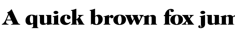 Preview of FONTSPRING DEMO - Horsham Serial Xbold Regular font