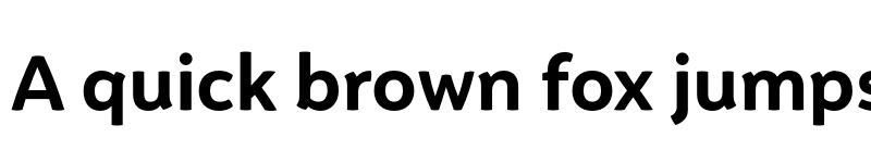 Preview of FONTSPRING DEMO - Igna Sans Black Regular font