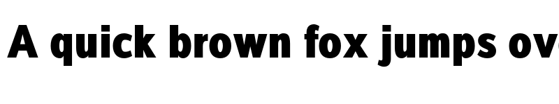 Preview of FONTSPRING DEMO - Interval Sans Pro Cond Black Regular font