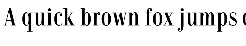 Preview of FONTSPRING DEMO - Jeles Condensed Regular Regular font