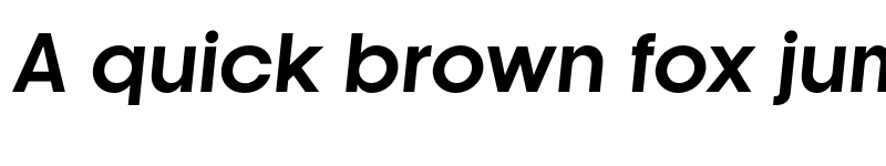 Preview of FONTSPRING DEMO - Kamerik 205 Bold Italic font