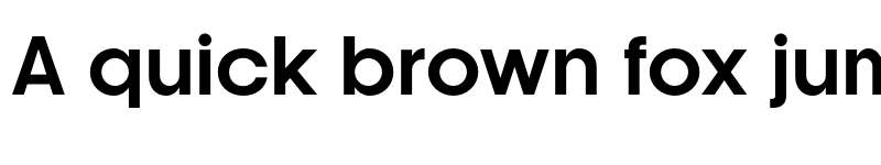 Preview of FONTSPRING DEMO - Kamerik 205 Bold font