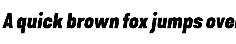 Preview of FONTSPRING DEMO - Kapra Neue Pro Black Italic font