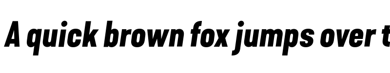 Preview of FONTSPRING DEMO - Kapra Neue Pro Bold Italic font