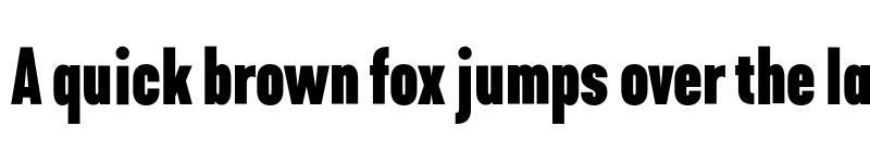 Preview of FONTSPRING DEMO - Kapra Neue Pro Condensed Bold font