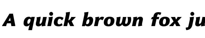 Preview of FONTSPRING DEMO - Levnam Black Italic font