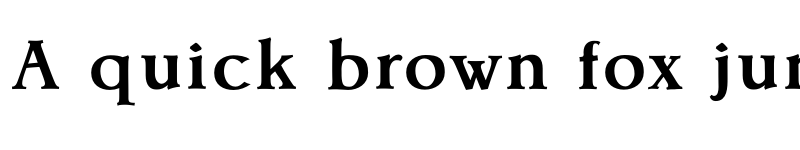 Preview of FONTSPRING DEMO - Librum Bold font