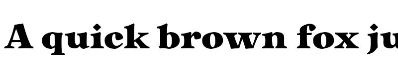 Preview of FONTSPRING DEMO - Liminal Black Regular font