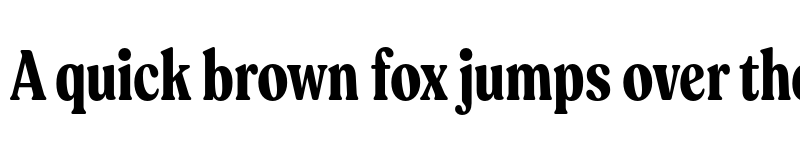 Preview of FONTSPRING DEMO - Ltt Recoleta Compressed Bold Regular font