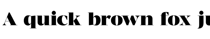 Preview of FONTSPRING DEMO - MADE Coachella Black font