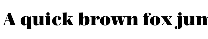 Preview of FONTSPRING DEMO - Madigan Text Black Regular font