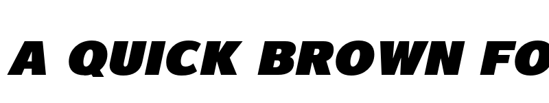 Preview of FONTSPRING DEMO - Magnum Sans Pro Ex Blck Obliq Italic font