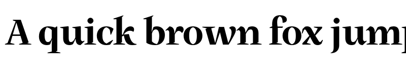 Preview of FONTSPRING DEMO - Milas Disp Heavy Heavy font