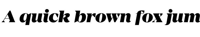 Preview of FONTSPRING DEMO - Mirador Black Italic font