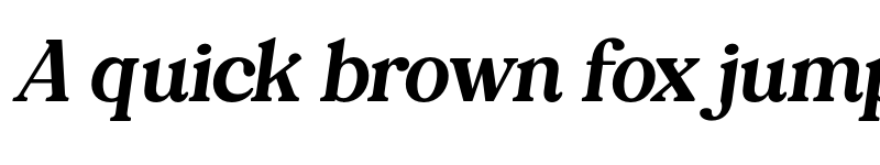 Preview of FONTSPRING DEMO - Mitogen Display Italic Regular font