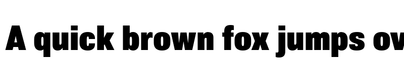 Preview of FONTSPRING DEMO - Molde SemiCondensed-Heavy Regular font