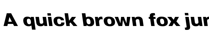 Preview of FONTSPRING DEMO - Molde SemiExpanded-Bold Reverse Regular font