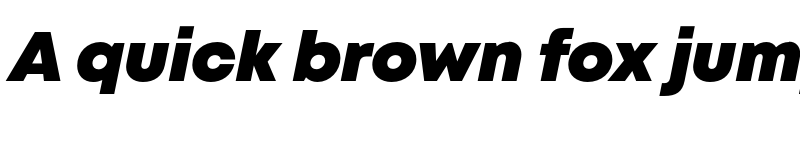 Preview of FONTSPRING DEMO - Mont Black Italic Regular font