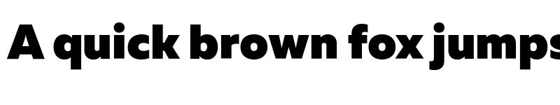 Preview of FONTSPRING DEMO - Muller Black Regular font